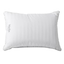 Martha Stewart Feather Pillow, 2-pack - 6677007 - 2