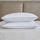 Martha Stewart Feather Pillow, 2-pack - 6677007 - 3
