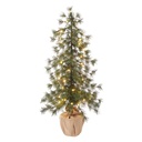 Holiday Alpine Trees with LED lights - Set of 3 1739920 - 6