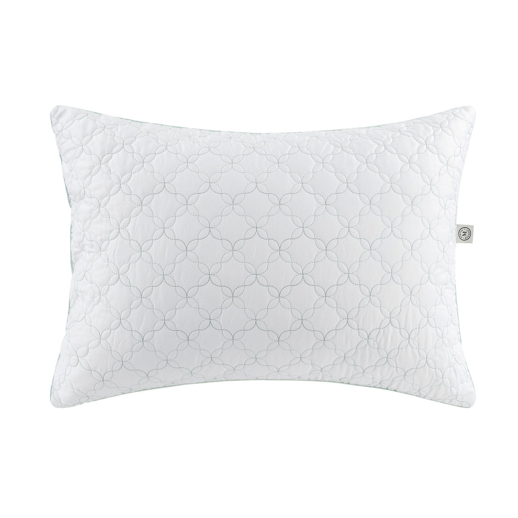 Martha Stewart Trellis Bloom Quilted Pillow, 2-pack 1943697 - 2
