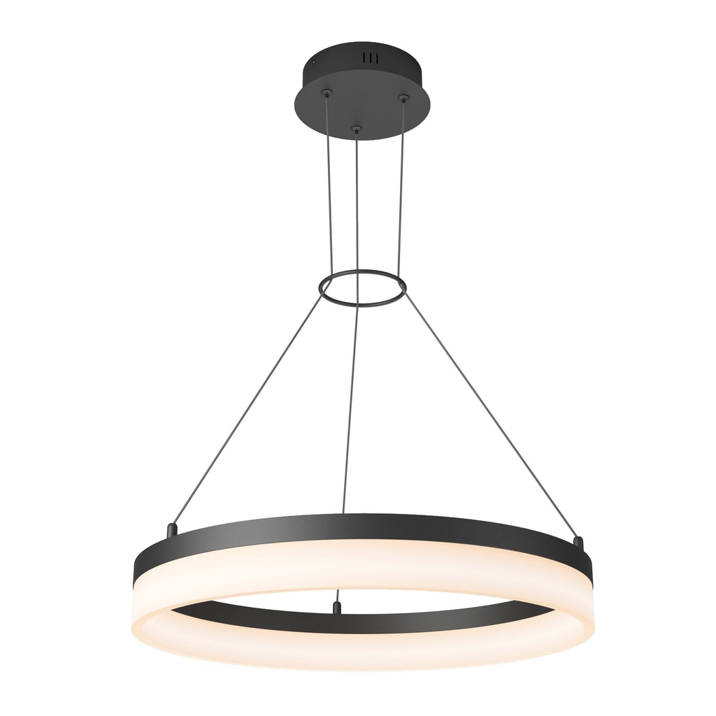 Artika Optical Ring LED Pendant Light Fixture - Black - 1136067