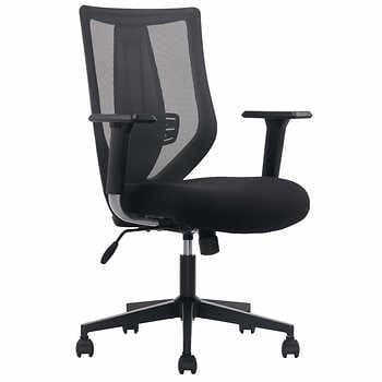 [true-mesh-chair-1645239] True Innovations Mesh Office Chair